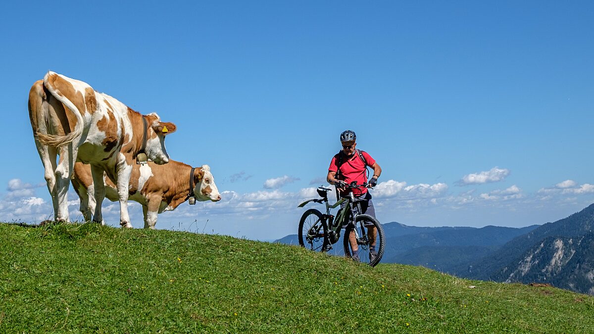 All Mountain Bike Test